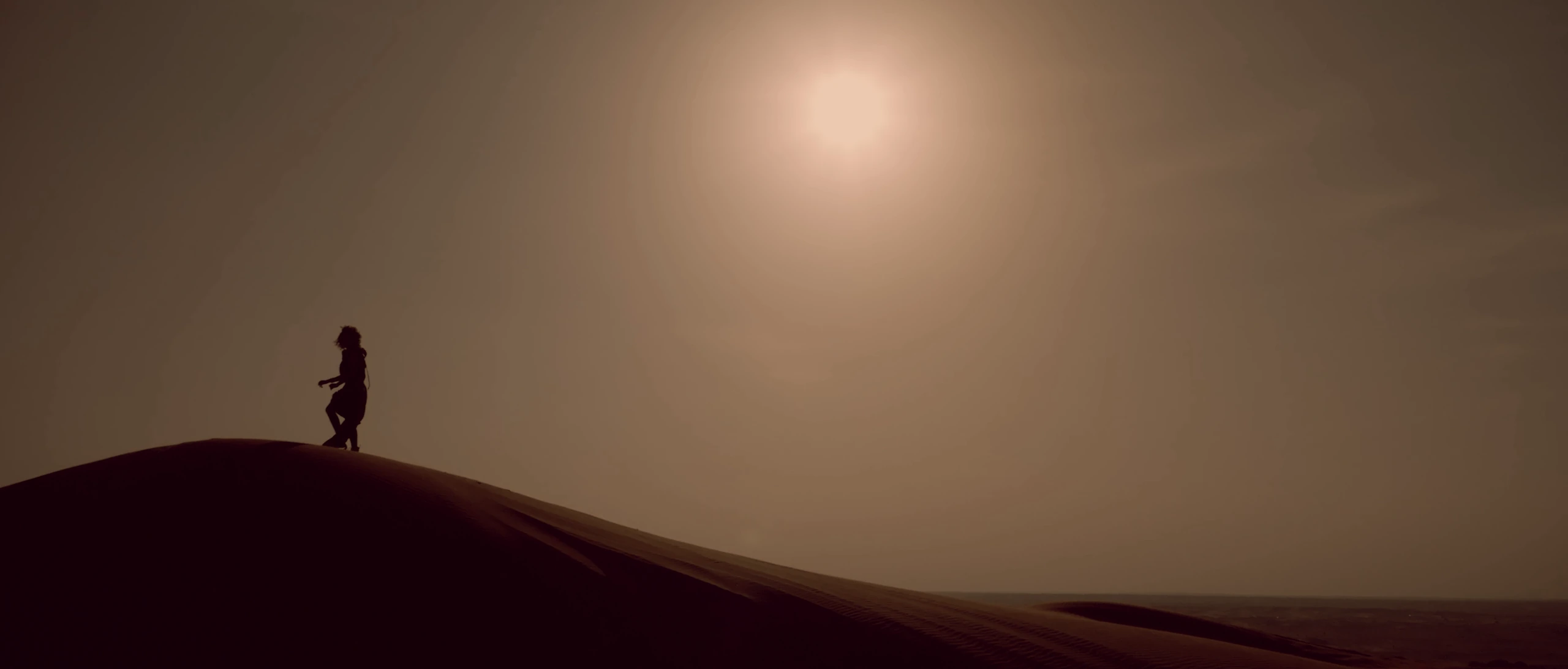 Desert Performance — A silhouette held against the sun
